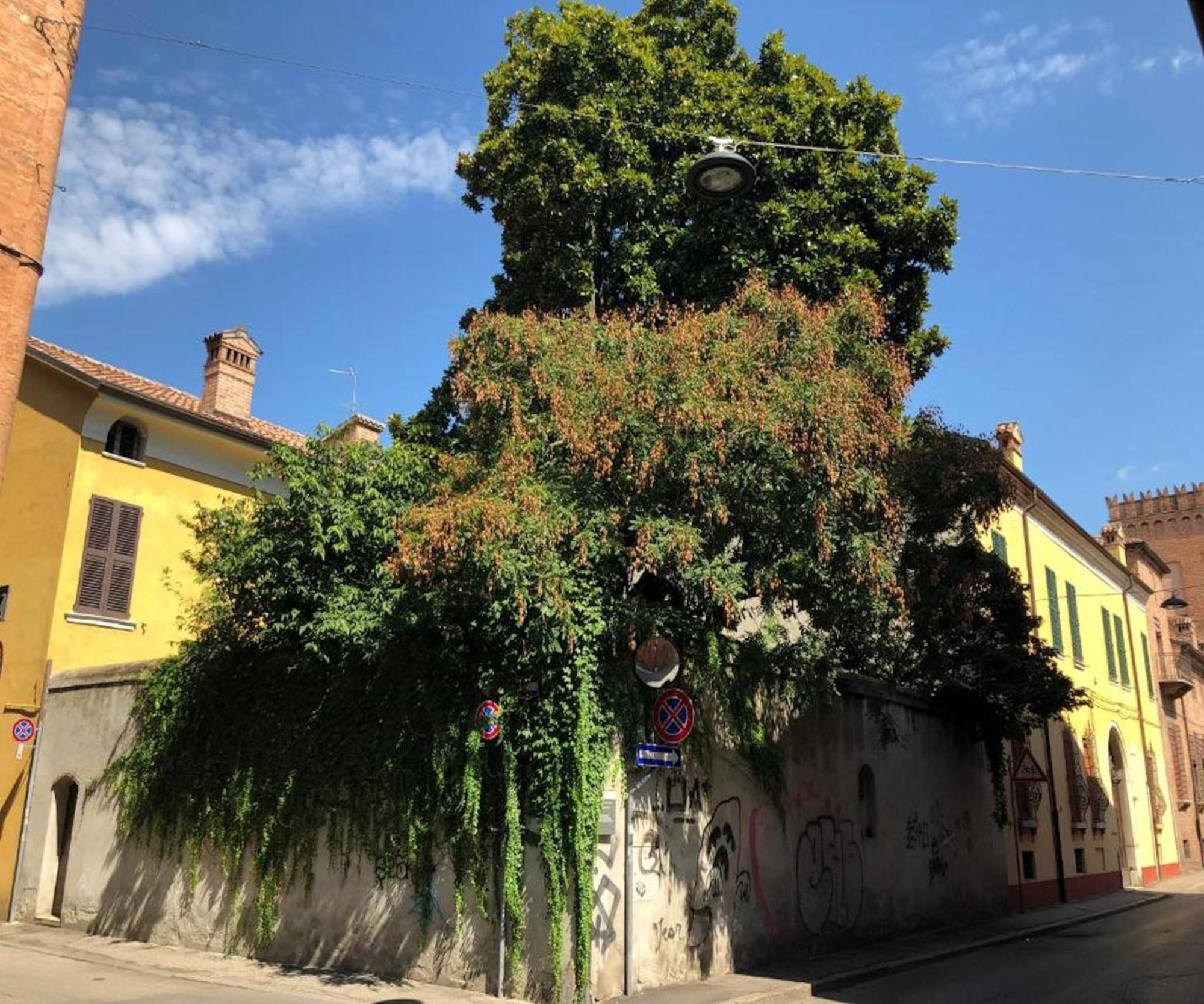 Il Giardino Segreto Lägenhet Ferrara Exteriör bild